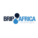 Brip Africa logo